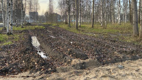 ����: News29